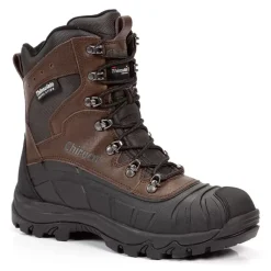 Patagonia 12